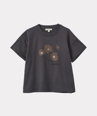ＡＨＩＰＡ　ＴーＳＨＩＲＴ